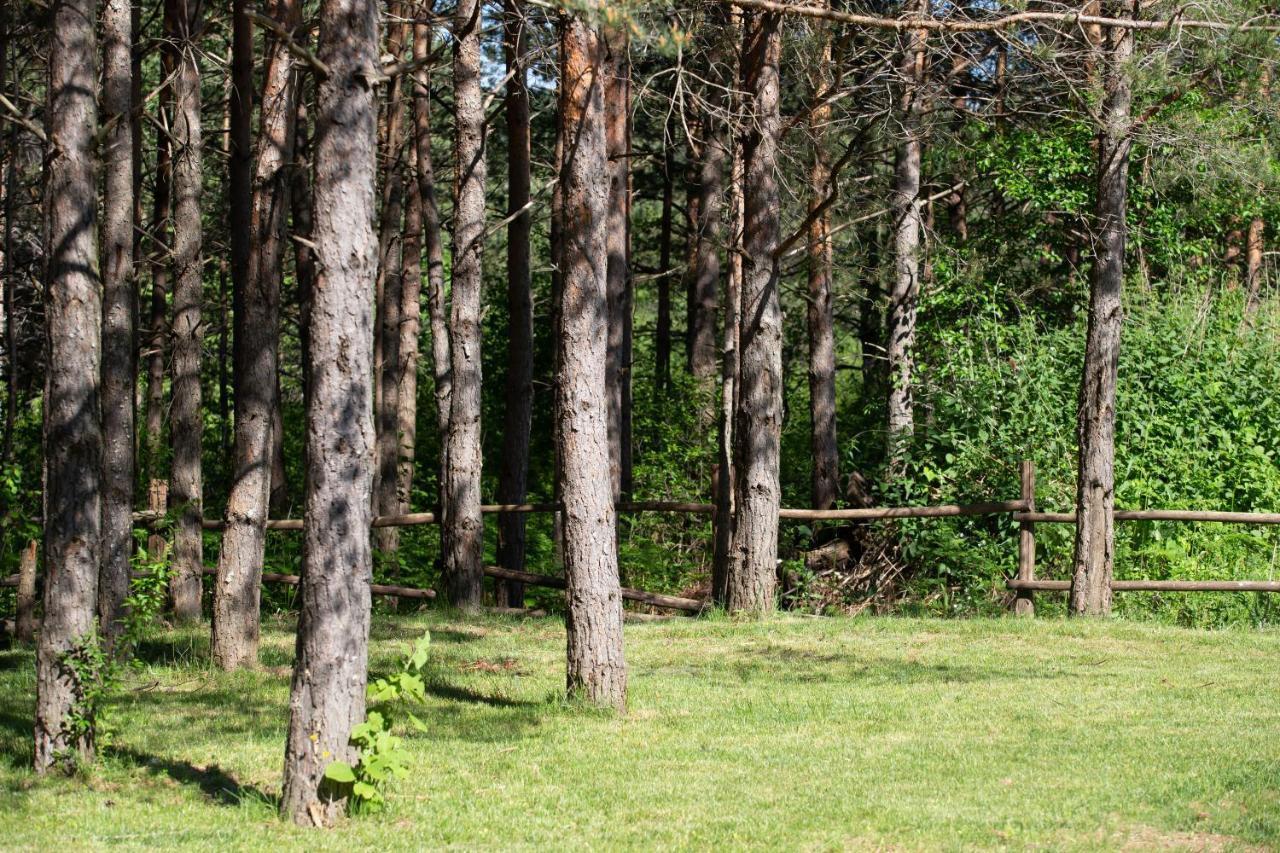 Timber Valley Plitvička Jezera Kültér fotó